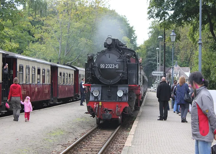 Hébergement de vacances Charmante Finnhuette Mit Garten *